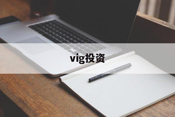 vig投资(viggle)